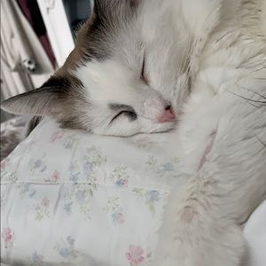 Meet your Posher, Britt